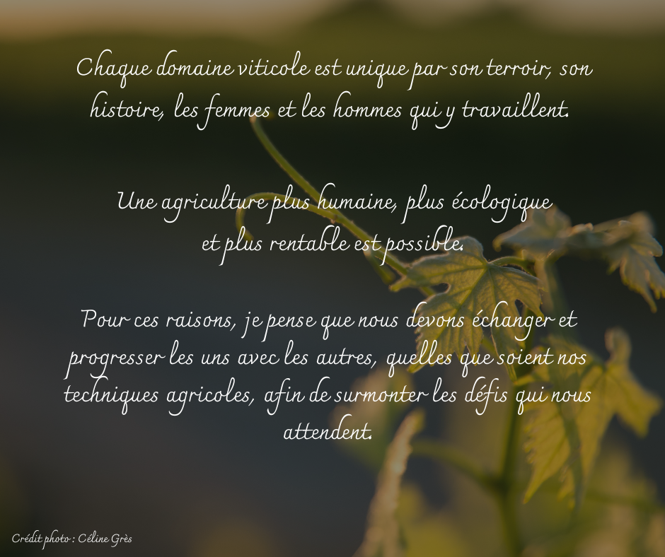 Chaque domaine viticole est unique par son terroir son histoire les femmes et les hommes qui y travaillent 1 1